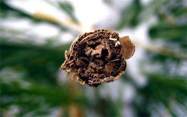 山西翌佳环保科技 国企担当，赋能节能环保技术咨询新篇章