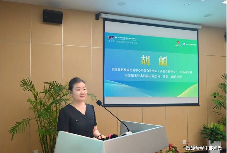 武汉理工大学与中国地质大学在节能环保科技领域的专家咨询与技术咨询服务探析
